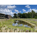 De Glundertuin ~ Balen